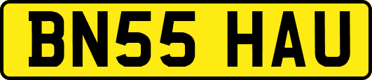 BN55HAU