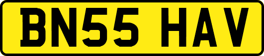BN55HAV
