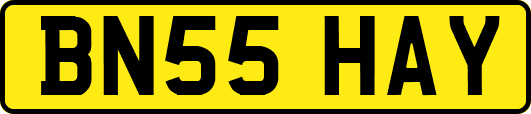 BN55HAY
