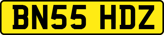 BN55HDZ