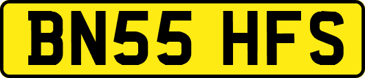 BN55HFS