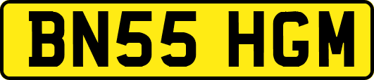BN55HGM