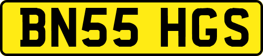 BN55HGS
