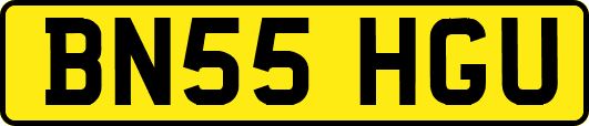 BN55HGU