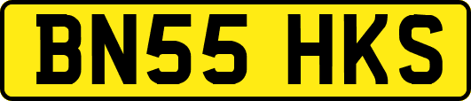 BN55HKS
