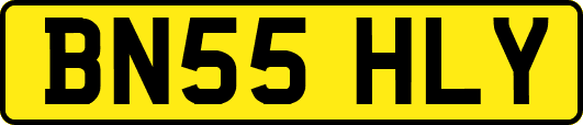 BN55HLY
