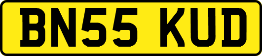 BN55KUD