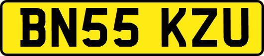 BN55KZU