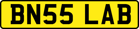 BN55LAB
