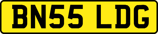 BN55LDG