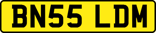 BN55LDM