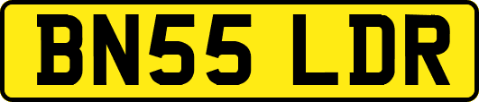 BN55LDR