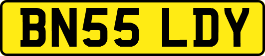 BN55LDY