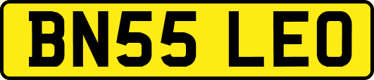 BN55LEO