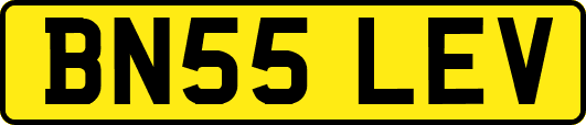 BN55LEV