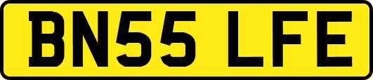 BN55LFE