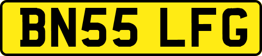BN55LFG