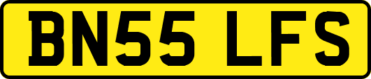 BN55LFS