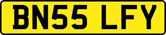 BN55LFY