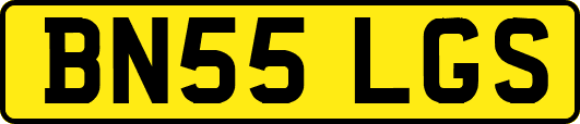BN55LGS