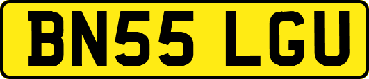 BN55LGU