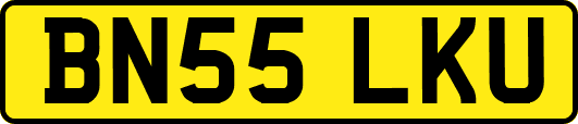 BN55LKU