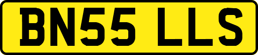 BN55LLS
