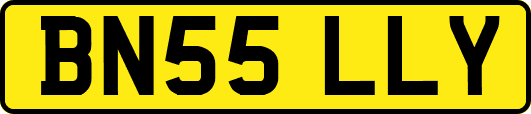 BN55LLY