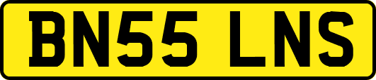 BN55LNS