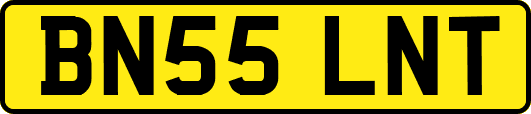 BN55LNT