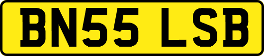 BN55LSB