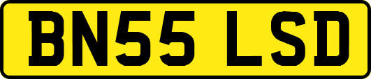 BN55LSD