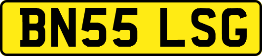 BN55LSG