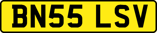 BN55LSV