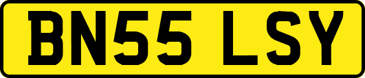 BN55LSY