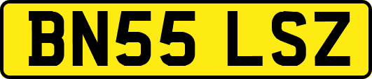 BN55LSZ