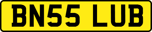 BN55LUB