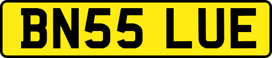 BN55LUE