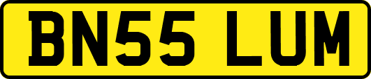BN55LUM