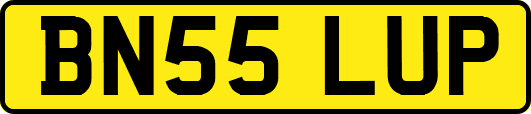 BN55LUP