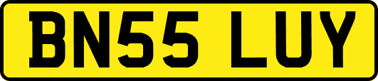 BN55LUY