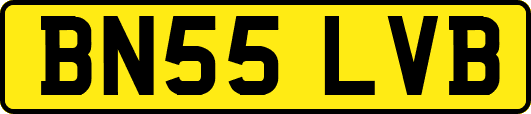 BN55LVB