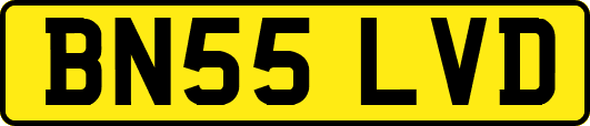 BN55LVD