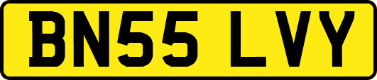 BN55LVY