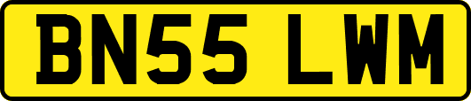 BN55LWM