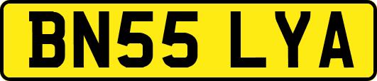 BN55LYA
