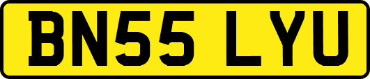 BN55LYU