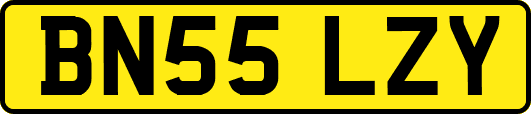 BN55LZY