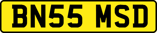 BN55MSD
