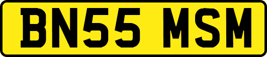 BN55MSM